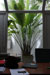 Architects Studio Colombo 5  