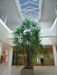 Product Development Facility for Hirdaramani Group Maharagama 
