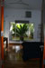 Architects Residence Colombo 5   