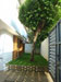 Architects Residence Colombo 5   
