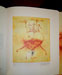 Ink of lanka book photos