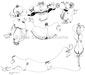 Line drawings