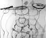 Wire Sculptures