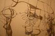 Wire Sculptures