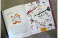 A Voyage In Sri Lankan Design  book