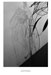 Rhythm In Line : Drawings, Sculpture and Animation 